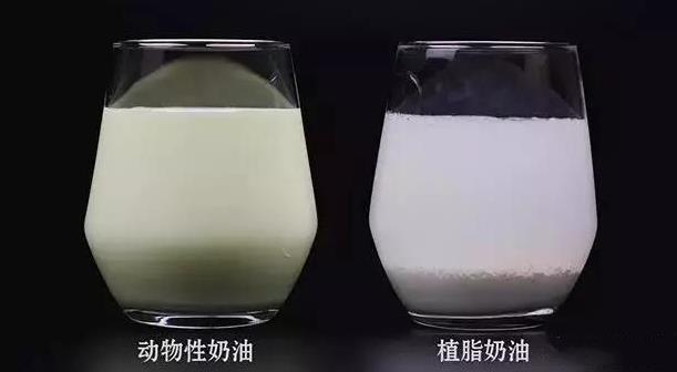 學(xué)蛋糕學(xué)校