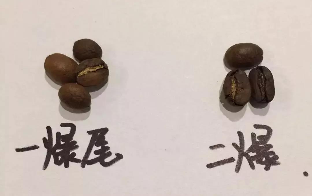 學(xué)習(xí)蛋糕制作培訓(xùn)班教你咖啡豆烘焙程度區(qū)別