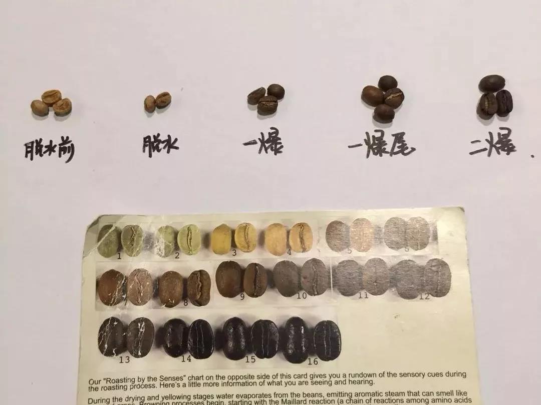 學(xué)蛋糕烘焙培訓(xùn)教你咖啡豆烘焙程度區(qū)別