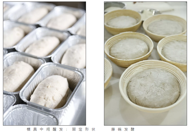 學習蛋糕培訓班超全教學 學習蛋糕培訓班超全教學