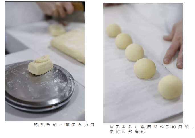 蛋糕面包培訓班之預整形·發(fā)酵
