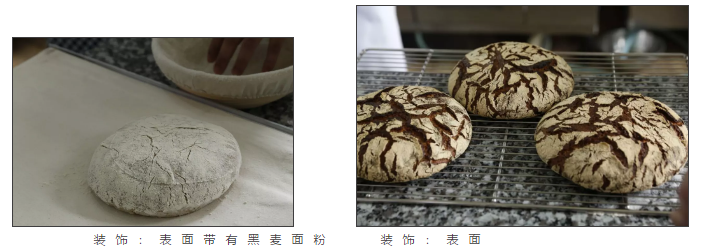 糕點烘焙學校之整形·裝飾·撒粉